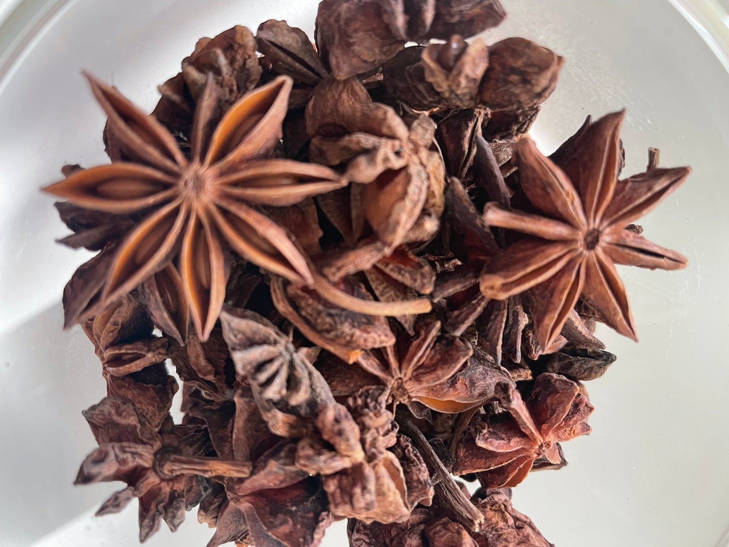 Star Anise