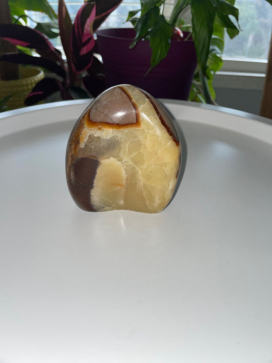 Septarian Egg Freeform